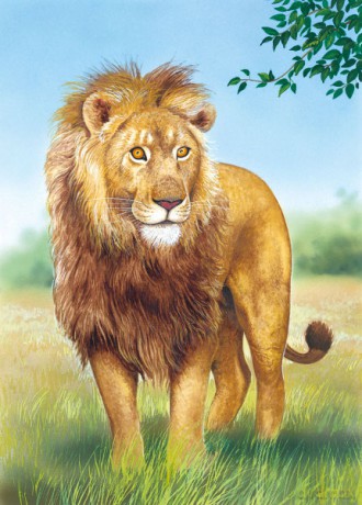 CASTOR 60 Lew 06403 [PUZZLE]