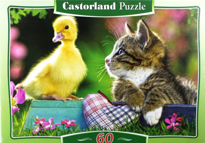 CASTOR 60 Najlepsi Przyjaciele 06472 [PUZZLE]
