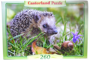 CASTOR 260 Jeż 26777 [PUZZLE]