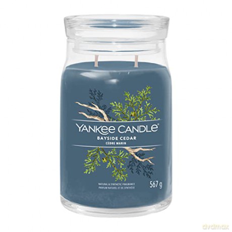 Yankee Candle Aromatic candle Signature glass large Bayside Cedar 567 g