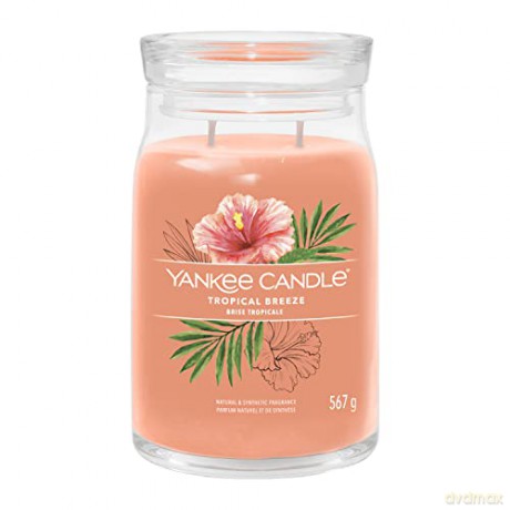 Yankee Candle Aromatic candle Signature large glass Tropica l Breeze 567 g