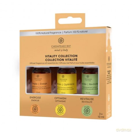 Chesapeake Bay Set of aroma oils Vitality 3 x 10 ml