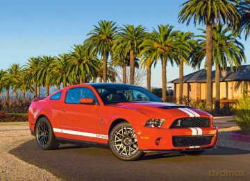 CASTOR 260 Shelby Ford Mustang GT500 26845 [PUZZLE]