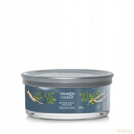 Yankee Candle Aromatic candle Signature tumbler medium Bayside Cedar 340 g
