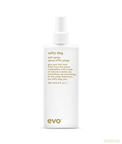 evo Texturizing salty spray Salty Dog (Salt Spray) 200 ml