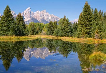 CASTOR 500 USA - Park Narodowy Grand Teton 51441 [PUZZLE]