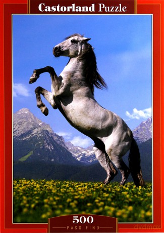 CASTOR 500 Pano Fiso 51458 [PUZZLE]