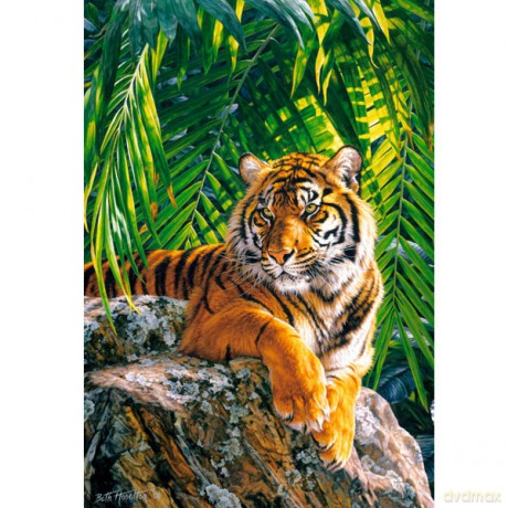 CASTOR 500 Tygrys Sumatrzański 51649 [PUZZLE]