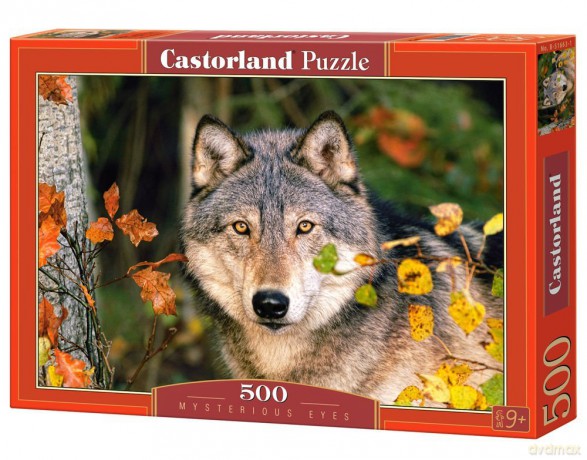 CASTOR 500 Wilk 51663 [PUZZLE]