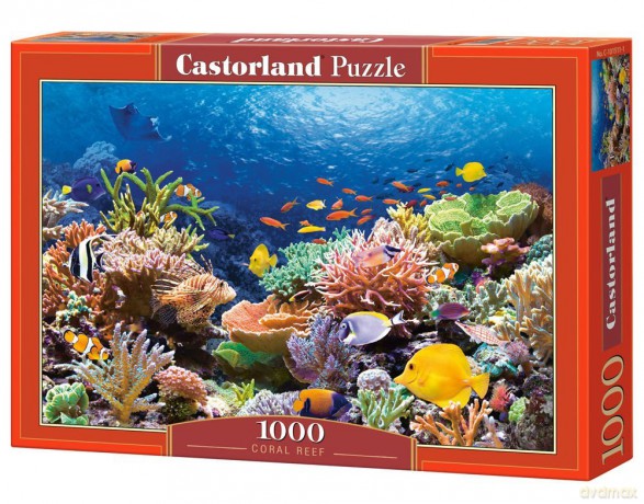 CASTOR 1000 Rafa Koralowa 101511 [PUZZLE]