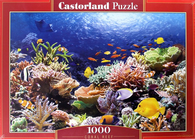 CASTOR 1000 Rafa Koralowa 101511 [PUZZLE]