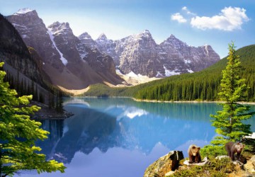 CASTOR 1000 Kanada - Jezioro Moraine 101733 [PUZZLE]