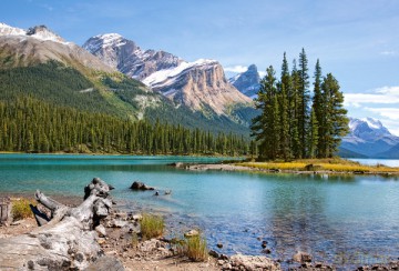 CASTOR 1000 Park Nar. Jasper, Canada 102020 [PUZZLE]