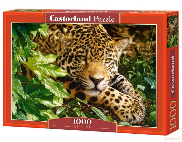 CASTOR 1000 At Rest 102051 [PUZZLE]