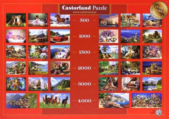 CASTOR 1000 At Rest 102051 [PUZZLE]