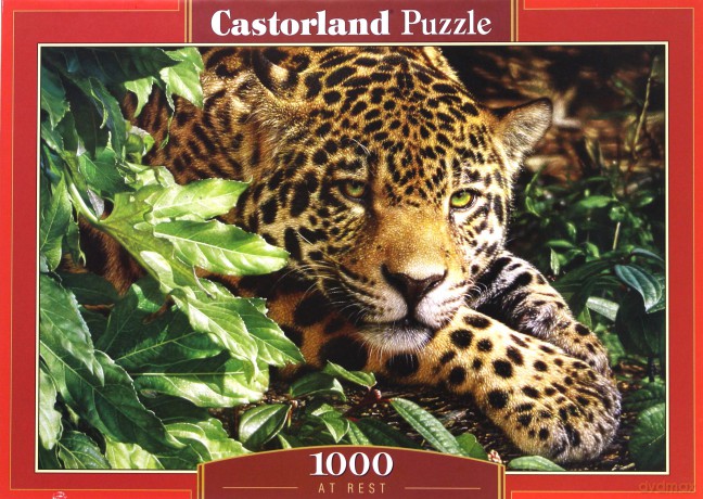 CASTOR 1000 At Rest 102051 [PUZZLE]
