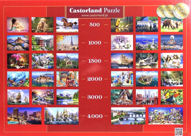 CASTOR 1000 Pocałunek Anioła 102297-1 [PUZZLE]