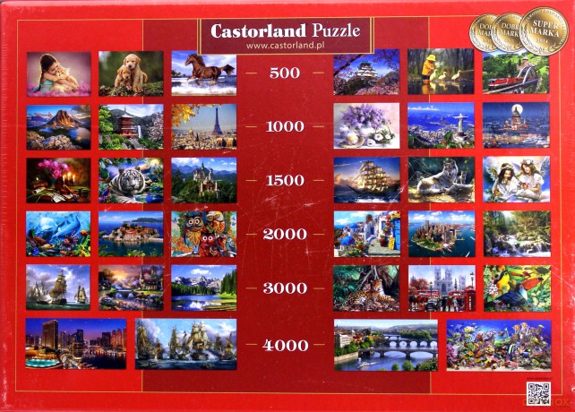 CASTOR 1000 Chata Nad Rzeką 102365-1 [PUZZLE]