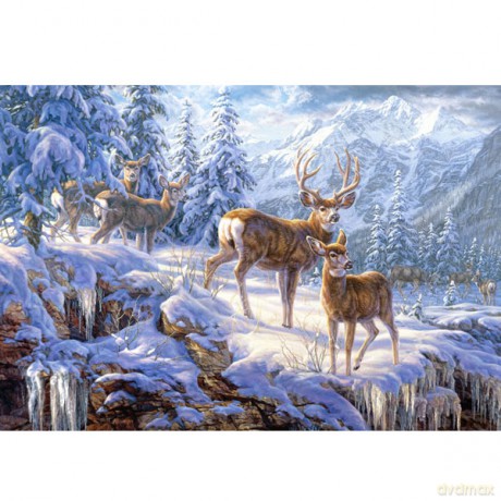 CASTOR 1000 Światło Zimą w Górach 102501 [PUZZLE]
