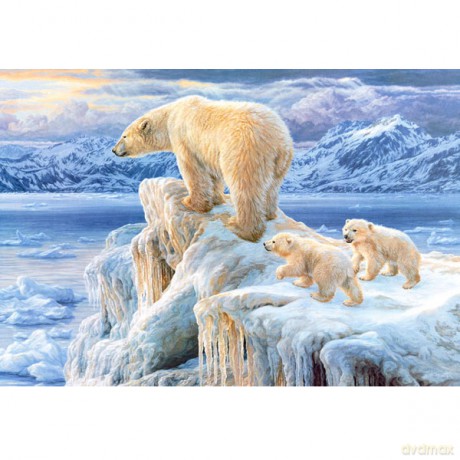 CASTOR 1000 Arktyczne Królestwo 102525 [PUZZLE]