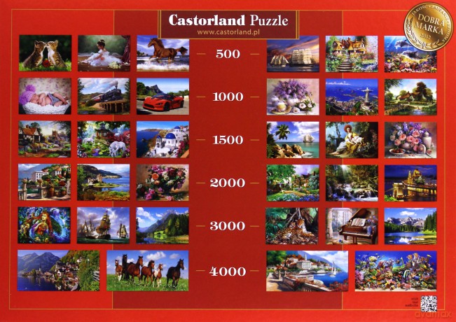 CASTOR 1000 Chevrolet Corvette 102556 [PUZZLE]
