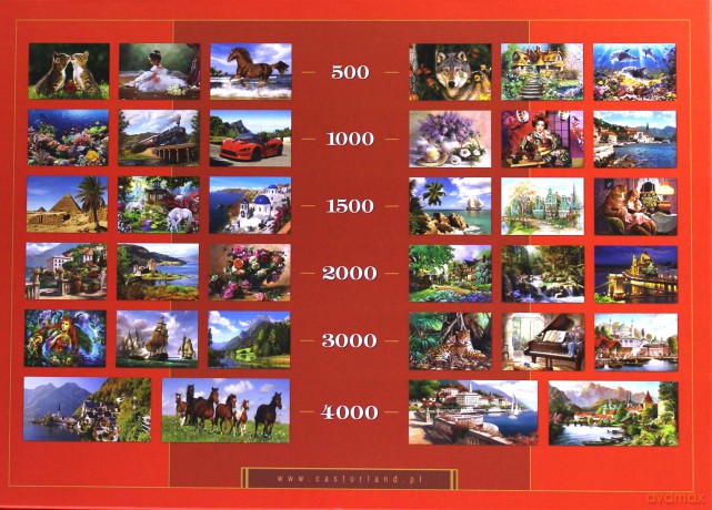 CASTOR 1000 Letnie Rozkosze 102532 [PUZZLE]