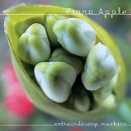 Apple Fiona: Extraordinary Machine [CD]