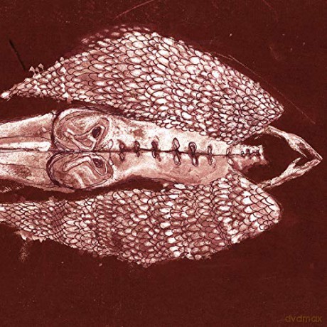 Cerberus Shoal: Homb [Winyl]