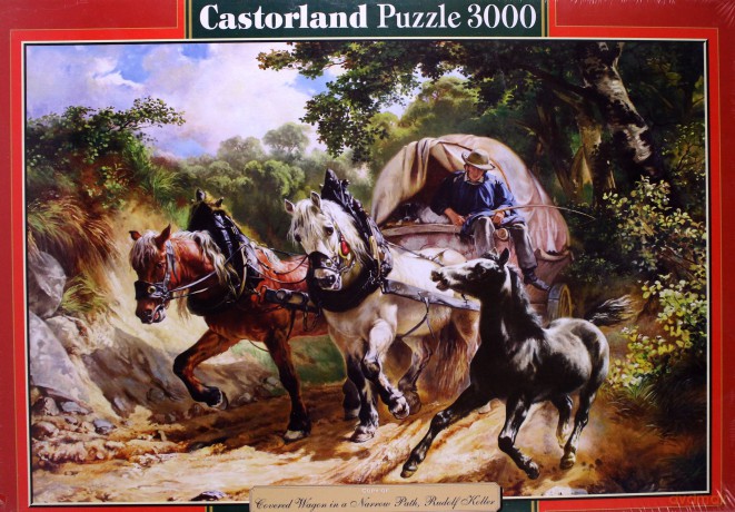 CASTOR 3000 Copy - Dyliżans 300075 [PUZZLE]