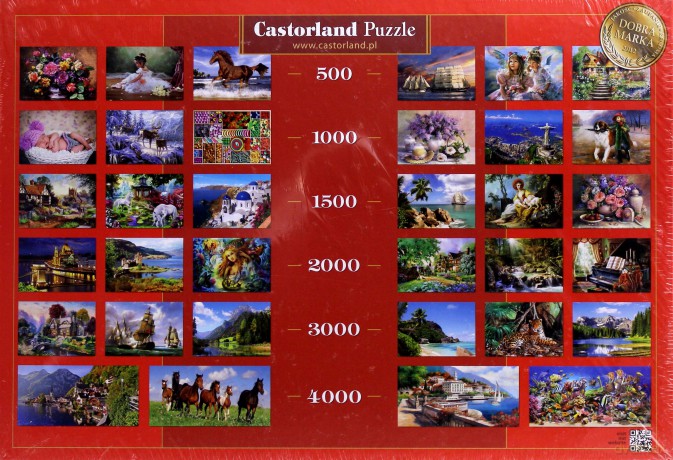CASTOR 3000 Copy - Zamek Na Tle Gór 300099 [PUZZLE]