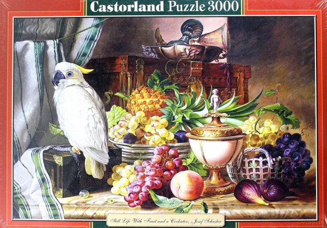 CASTOR 3000 Martwa natura z papugą 300143 [PUZZLE]