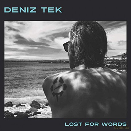 Deniz Tek: Lost for Words [CD]
