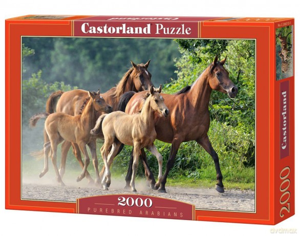 CASTOR 2000 Purebred Arabians 200313 [PUZZLE]