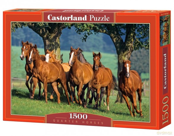 CASTOR 1500 Quarter Horses 150748 [PUZZLE]