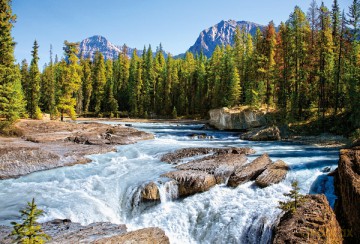 CASTOR 1500 Kanada - Jasper Nat.Park 150762 [PUZZLE]