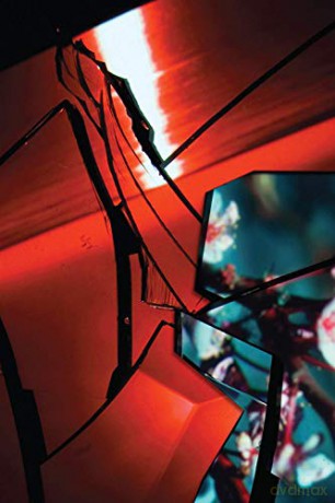 TV on the Radio: Nine Types of Light [DVD]