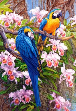 CASTOR 1500 Papugi w orchideach 150861-1 [PUZZLE]