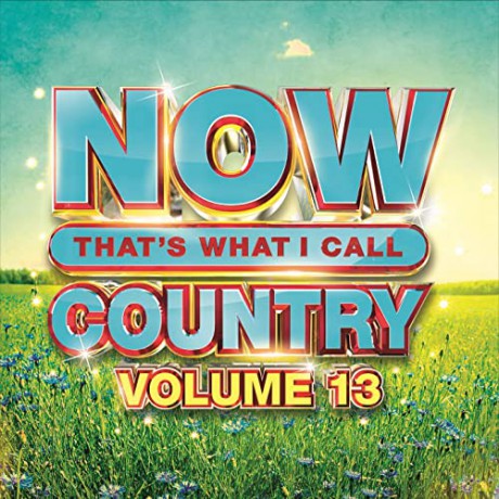 Now That's What I Call Country, Volume 13 [CD]