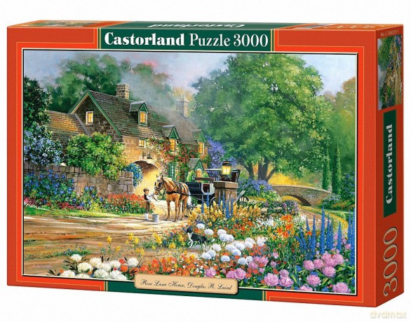 CASTOR 3000 Róże wokół domu 300235 [PUZZLE]