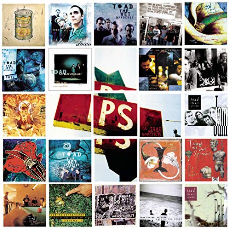 Toad the Wet Sprocket: P.S: a Toad Retrospective [CD]