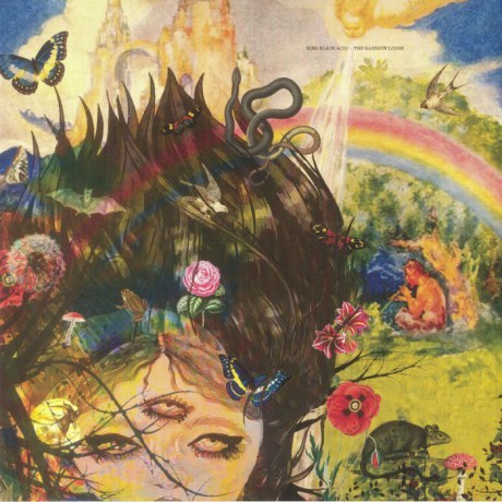 King Black Acid: Rainbow Lodge [Winyl]