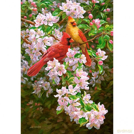 CASTOR 1500 Romantyczna wiosna papug 150977 [PUZZLE]