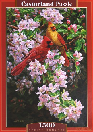 CASTOR 1500 Romantyczna wiosna papug 150977 [PUZZLE]