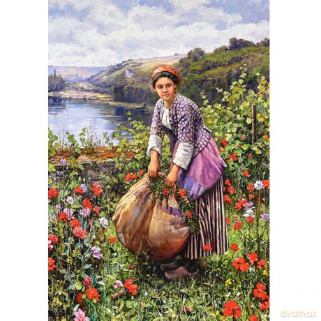 CASTOR 1500 D.R. Knight - The Grass 151004 [PUZZLE]