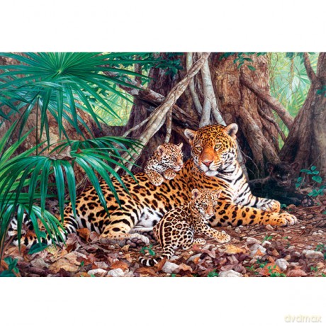 CASTOR 3000 Jaguary w dżungli 300280 [PUZZLE]