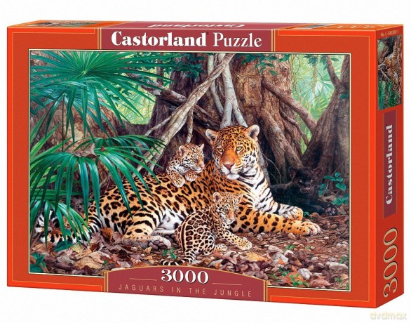 CASTOR 3000 Jaguary w dżungli 300280 [PUZZLE]