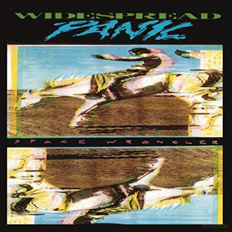 Widespread Panic: Space Wrangler [CD]