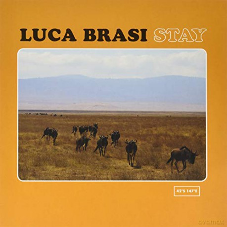 Luca Brasi: Stay [Winyl]
