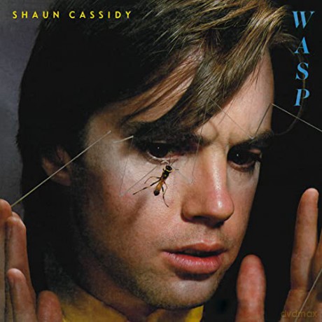 Shaun Cassidy: WASP [Winyl]