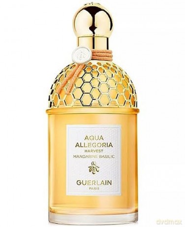 Guerlain Aqua Allegoria Harvest Mandarine Basilic - Woda toaletowa (plnitelná) 125 ml